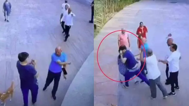 కుక్క కోసం గొడవ.. యువకుడిపై ఐదుగురు వృద్ధుల దాడి! (వీడియో చూడండి)
